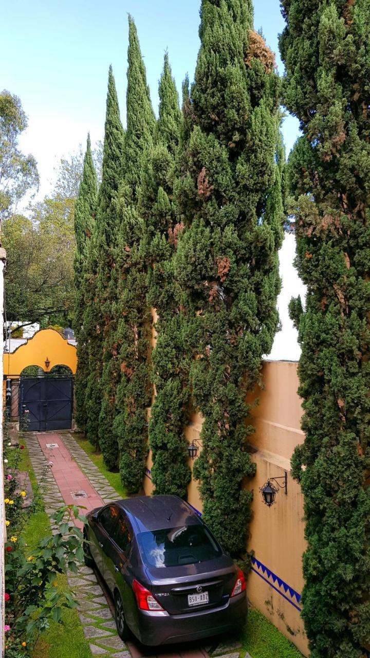 Villa Alfonsina Μεξικό Εξωτερικό φωτογραφία